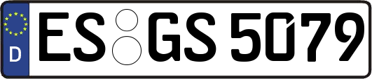 ES-GS5079