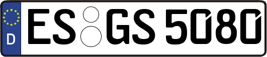 ES-GS5080