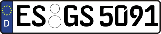 ES-GS5091