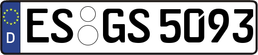 ES-GS5093