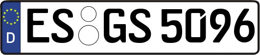 ES-GS5096