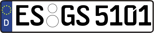ES-GS5101