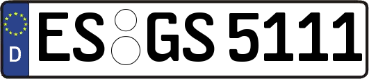 ES-GS5111