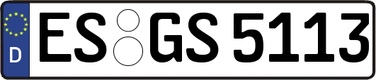 ES-GS5113