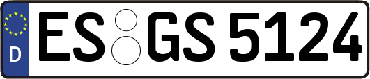 ES-GS5124