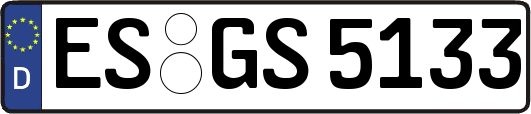 ES-GS5133