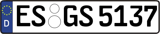 ES-GS5137