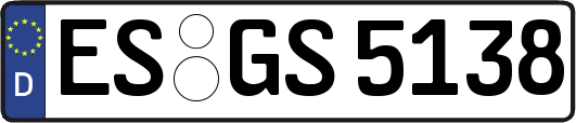 ES-GS5138