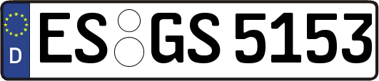 ES-GS5153