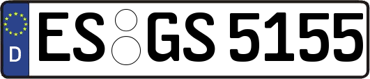 ES-GS5155