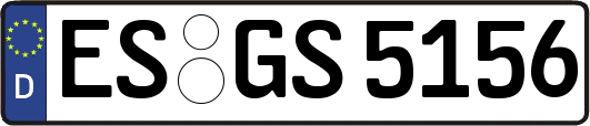 ES-GS5156