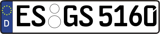 ES-GS5160