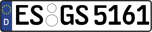 ES-GS5161