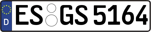 ES-GS5164