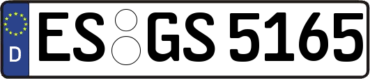 ES-GS5165