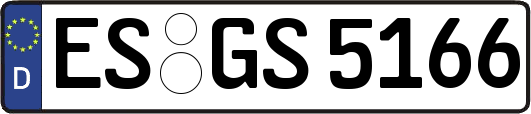 ES-GS5166