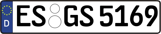 ES-GS5169