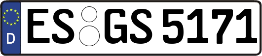 ES-GS5171