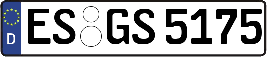 ES-GS5175