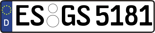 ES-GS5181