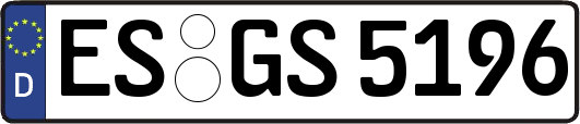 ES-GS5196