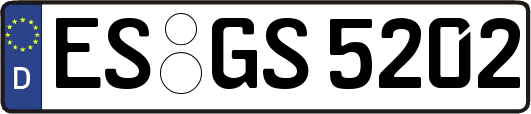 ES-GS5202