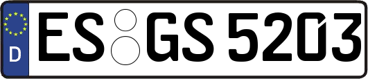 ES-GS5203