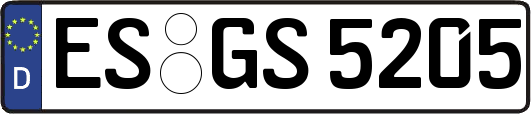 ES-GS5205