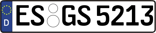 ES-GS5213
