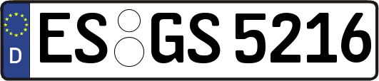 ES-GS5216