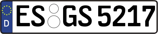 ES-GS5217