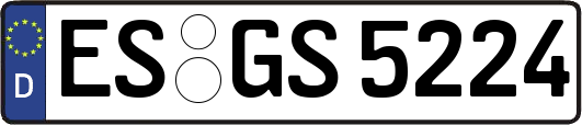 ES-GS5224