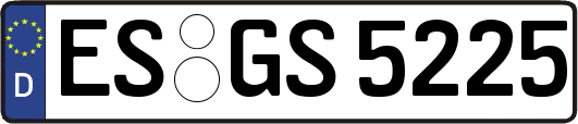 ES-GS5225