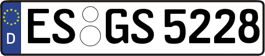 ES-GS5228