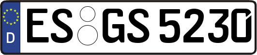 ES-GS5230