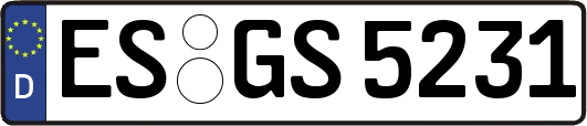 ES-GS5231