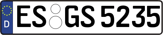 ES-GS5235