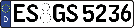 ES-GS5236