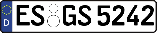 ES-GS5242