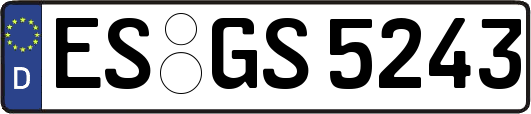 ES-GS5243