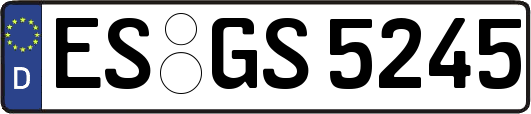 ES-GS5245