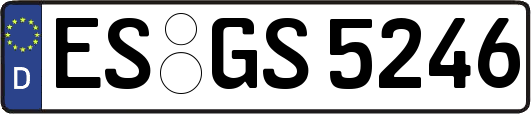 ES-GS5246