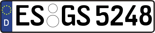 ES-GS5248