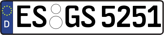 ES-GS5251