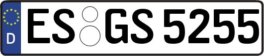 ES-GS5255