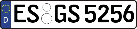 ES-GS5256