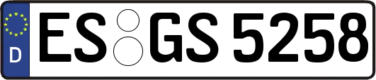 ES-GS5258