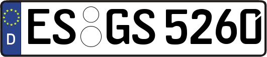 ES-GS5260