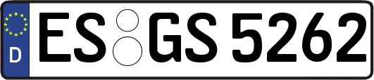 ES-GS5262