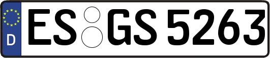 ES-GS5263